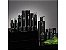 Paul Mitchell AWG Styling Treatment Oil - Leave-in 100ml - Imagem 3