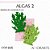 Molde de silicone Algas 2--CÓD 835 - Imagem 1