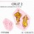 Molde de silicone Cruz 2--CÓD 836 - Imagem 1