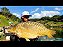 Massa de Pesca Amental Fishing - Imagem 3