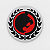 Patch RGA Gracie Team 190mm - Imagem 4