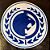 Patch RGA Gracie Team 190mm - Imagem 3