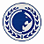 Patch RGA Gracie Team 190mm - Imagem 1