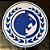 Patch RGA Gracie Team 190mm - Imagem 2