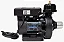SMART 300 • 1/2 CV TEXIUS - 220V - Imagem 2
