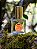 Perfume Natural Botânico Bruma | Intuição & Força Emocional - Imagem 1