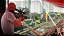 Hitman World of Assassination Signature Edition Nintendo Switch 2 (US) - Imagem 8
