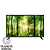 TV 32" LED HD Quad Core Saída de Áudio: 10W RMS Conversor Digital Integrado Bivolt PTV32T10EDP - PHILCO - Imagem 1