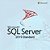 LICENÇA SQL Server 2019 Standard-  ESD - Imagem 1