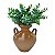 Vaso Bojudo Terracota - Imagem 6