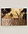 Livro - Safari Style - Exceptional African Camps And Lodges - Imagem 7