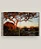 Livro - Safari Style - Exceptional African Camps And Lodges - Imagem 4