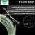 Linha WF/F OutBound Maximumcatch , linha curta para águas salgadas, 6-10wt - Imagem 5