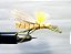 Parachute Hopper - Imagem 1
