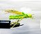 Parachute Hopper - Imagem 5