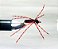 Spider Sinking - Aranha Afundativa - Imagem 2