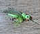 Klod´s Hopper - Imagem 1