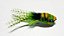 Bass Bug - Imagem 1