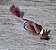 Mouse Foam - Imagem 3