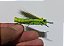 Big Hopper - Imagem 3