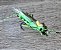Foam Hopper - Imagem 2