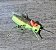 Foam Hopper - Imagem 1