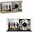 Funko Pop Albums 20 The Doors - Waiting for the Sun Exclusive - Imagem 1