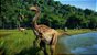 Jurassic World Evolution - Xbox One - Imagem 6