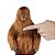 Star Wars Forces of Destiny Chewbacca Vociferante - Imagem 4