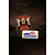 Fallout New Vegas 15th Anniversary Bundle - PC - Imagem 4