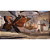 Star Wars Galactic Racer Collectors Edition - PS5 - Imagem 4