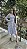 Vestido Malha Tweed Branco e Azul Marinho - Imagem 1