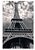 Quadro em canvas CIDADES - PARIS III - Imagem 3