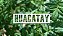 Huacatay em Pasta Processado Congelado 500g - Imagem 7