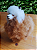Lhama Super Fofa de pele de Alpaca 16 x 12 x 06 - Imagem 2