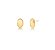 BRINCO OVAL BANHADO A OURO ACETINADO - Imagem 1