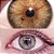 -COM GRAU - LENTES DE CONTATO DNA HAZEL - Imagem 4