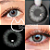 LENTES DE CONTATO HOSHI CINZA BRILHANTE - Imagem 4