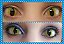 LENTES DE CONTATO COLOR SPLASH GATO - Imagem 4