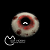 LENTES ESPECIAIS COLOR SPLASH HOSHI HALLOWEEN - Imagem 13