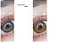 LENTES DE CONTATO BASSIA BROWN - Imagem 6