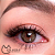 COSMOPOLITAN DUBAI BROWN - Imagem 5
