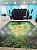 Pista de Dança Adesivo Fosco Personalizado 500x500 - Imagem 2