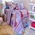 Kit Jogo de Cama Duplo 3 pçs e Colcha Dupla Face 2 pçs 245x160 Solteiro Lady Happy Day - Imagem 1