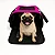 Bolsa Pet Cabine Lufthansa para Cães e Gatos - Imagem 1