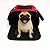 Bolsa Pet Cabine KLM 46x28x24 cm para Cães e Gatos - Imagem 1