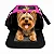 Bolsa Pet Cabine GOL para Cães e Gatos - Imagem 1