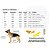 Capa de Chuva para Cachorro: Proteção e Conforto em Dias Chuvosos - Todos os Tamanhos Disponíveis Vermelha - Imagem 4