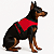 Coleira Peitoral Ergonômica com Guia para Cães – Ajustável e Antipuxão - Imagem 4