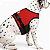 Coleira Peitoral Ergonômica com Guia para Cães – Ajustável e Antipuxão - Imagem 1
